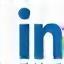 LinkedIn Icon